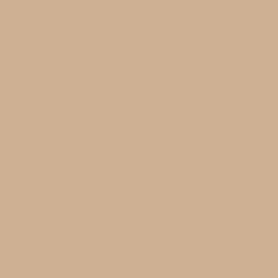 Süper Gloss Lak Panel Cappucino