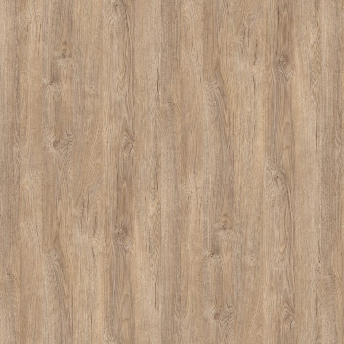 Pvc Kenar Bant Uludağ Meşe 0.60*22mm Frz - Görsel 1
